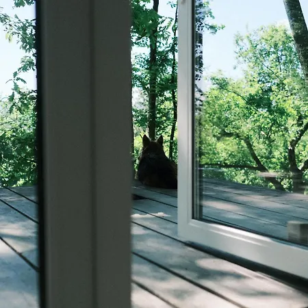 Lodge Siedlisko Ogrodek The Tiny House Krosna