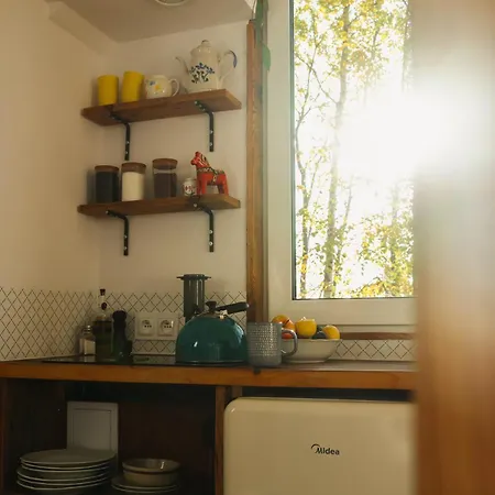 Siedlisko Ogrodek The Tiny House Lodge *